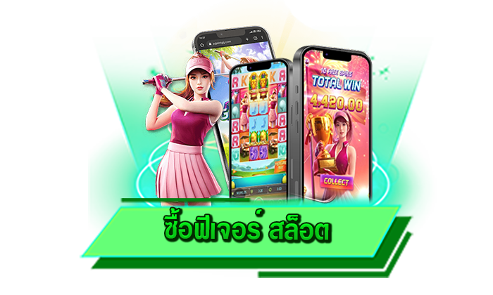 สร้างรายได้ไปกับเรา เว็บทำเงินได้จริง ซื้อฟีเจอร์ สล็อต เว็บตรงทำกำไรได้ไม่อั้น ซื้อฟีเจอร์ทำกำไรได้มากที่สุด